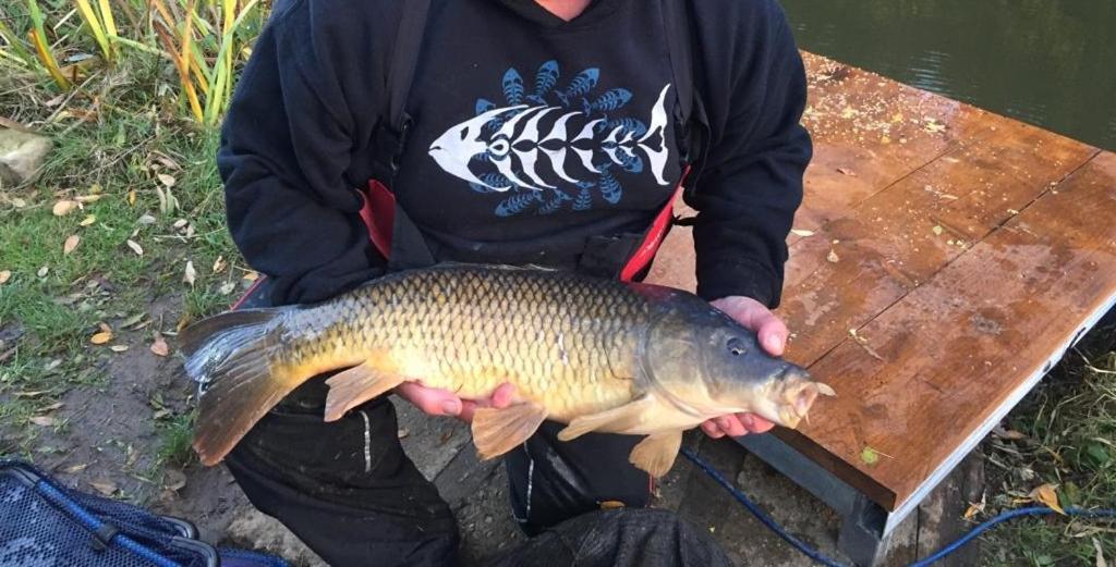 הוילה נוטינגהאם Peacock Lake Glamping מראה חיצוני תמונה